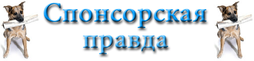 Header.gif (25094 bytes)